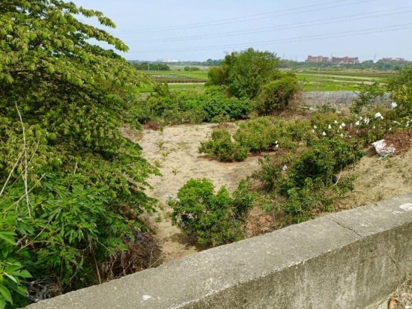高雄農地-1