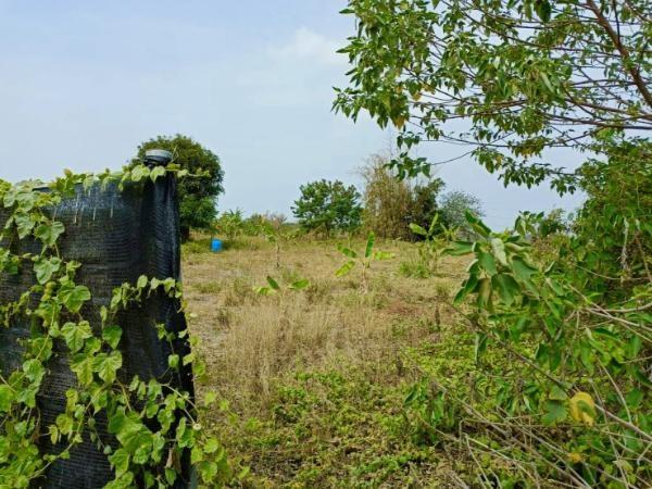 高雄農地-3