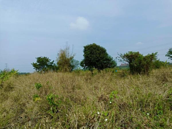 高雄農地-4