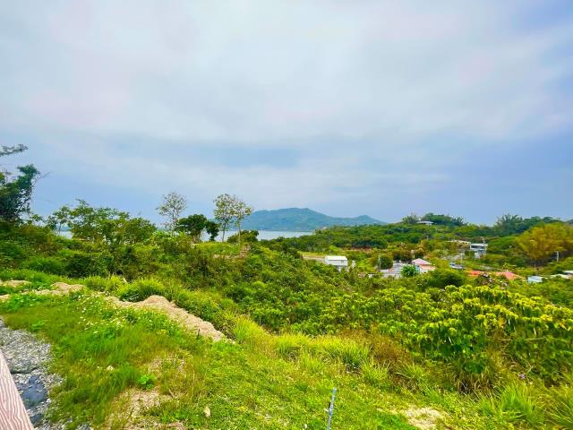 燕巢農地-9