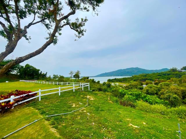 燕巢農地-1