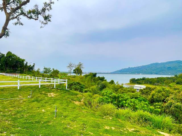燕巢農地-2