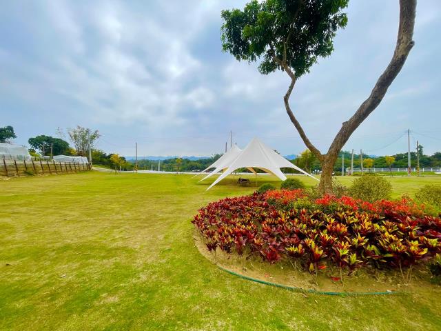 燕巢農地-3
