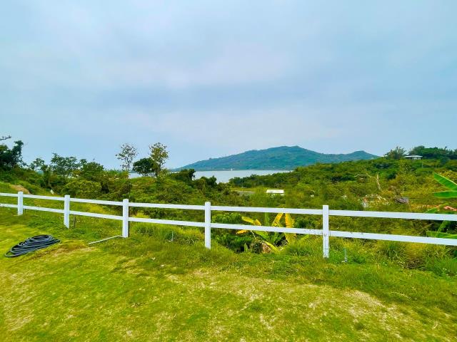 燕巢農地-6