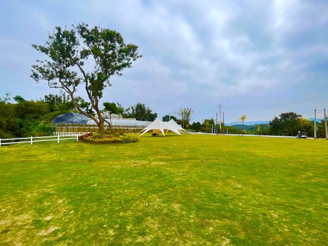 燕巢農地-8