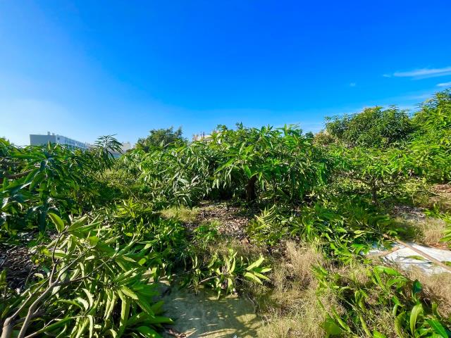 岡山農地-0