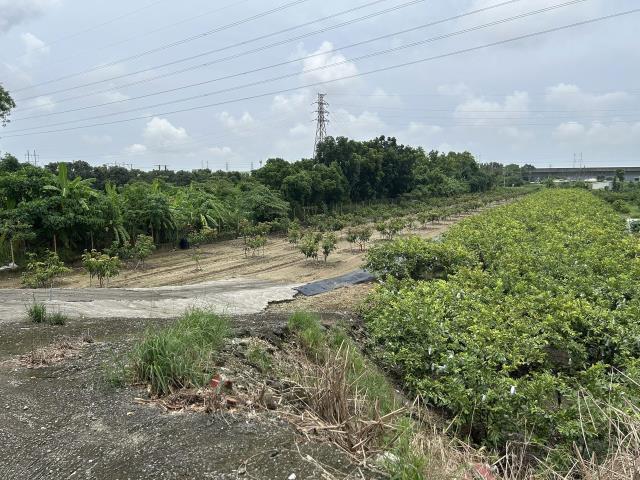 岡山農地-10