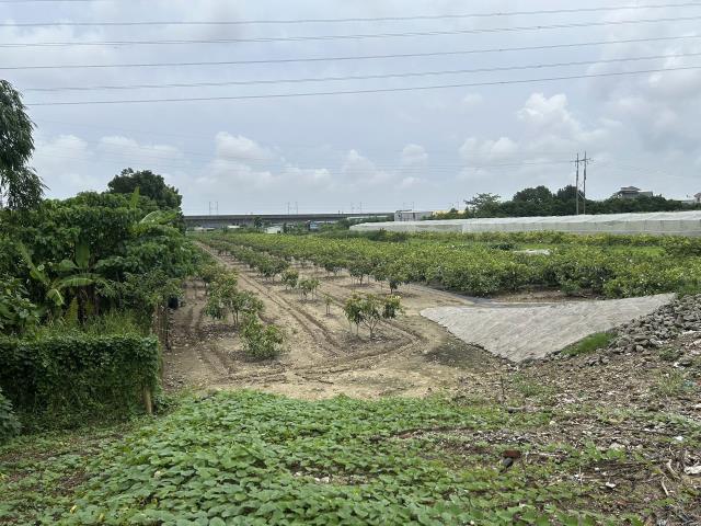 岡山農地-11