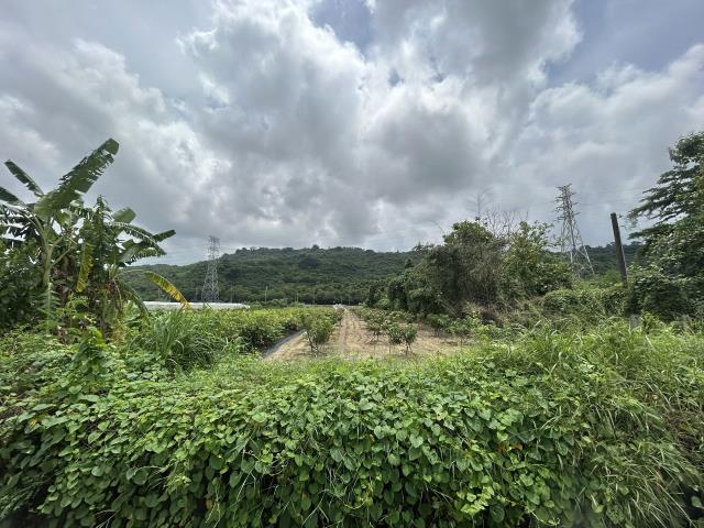 岡山農地-1