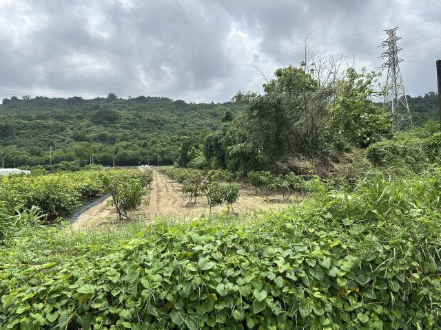 岡山農地-4