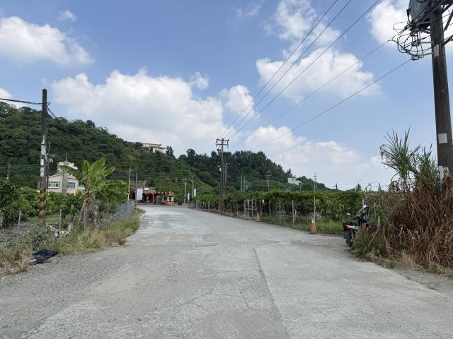 大樹農地-11